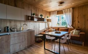 Unique Lipno Apartment