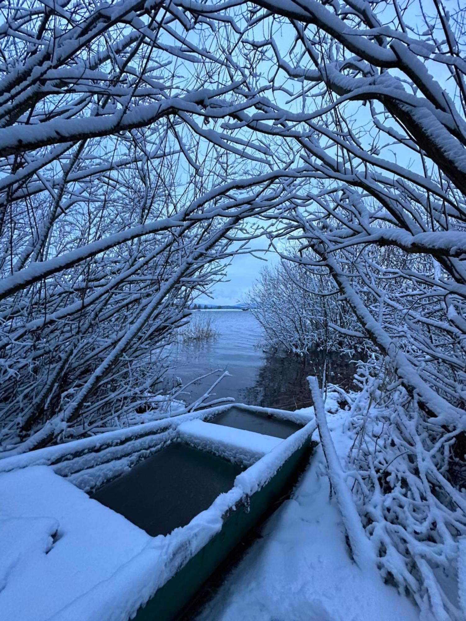 Unique Lipno Apartment Černá v Pošumaví Exteriér fotografie